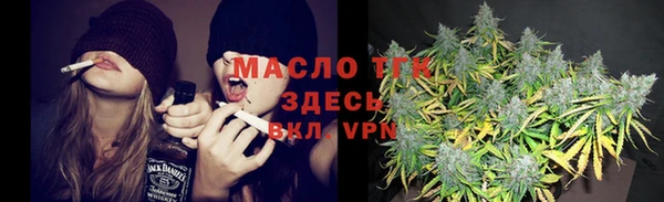 сатива Краснослободск
