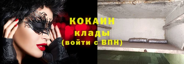 сатива Краснослободск