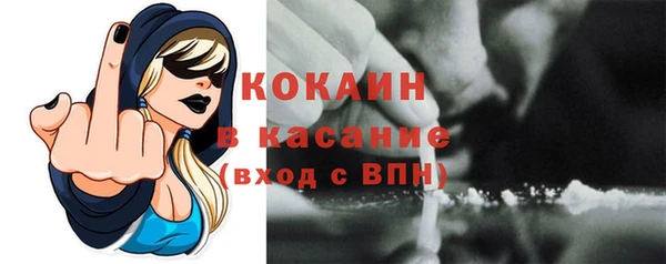 сатива Краснослободск