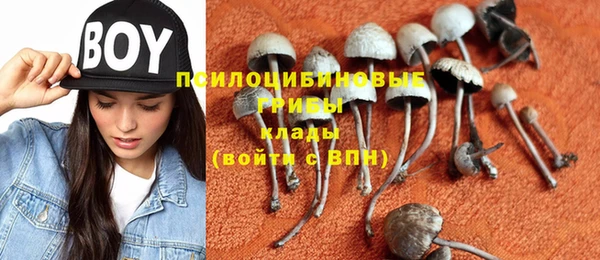 сатива Краснослободск