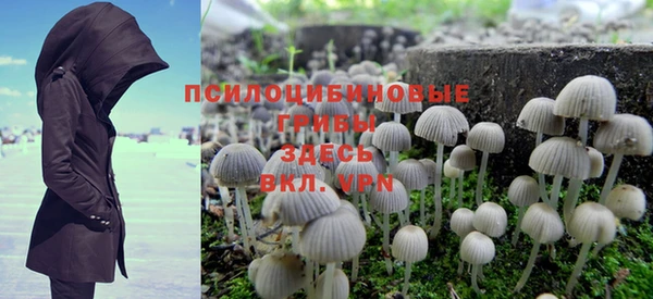 сатива Краснослободск