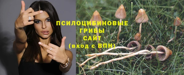 сатива Краснослободск