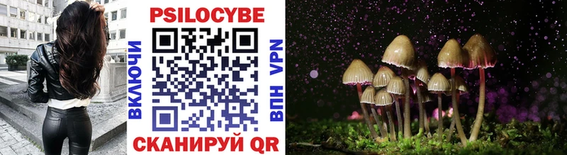 Купить закладки  Талица  Галлюциногенные грибы Cubensis 